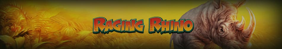 Raging Rhino desktop image